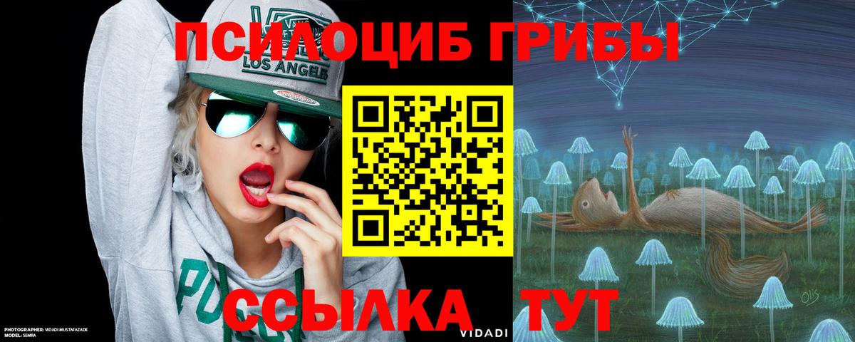 Галлюциногенные грибы Psilocybine cubensis Кострома